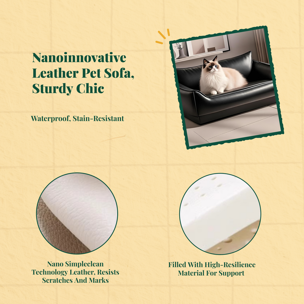Water-resistant dog bed, removable cover