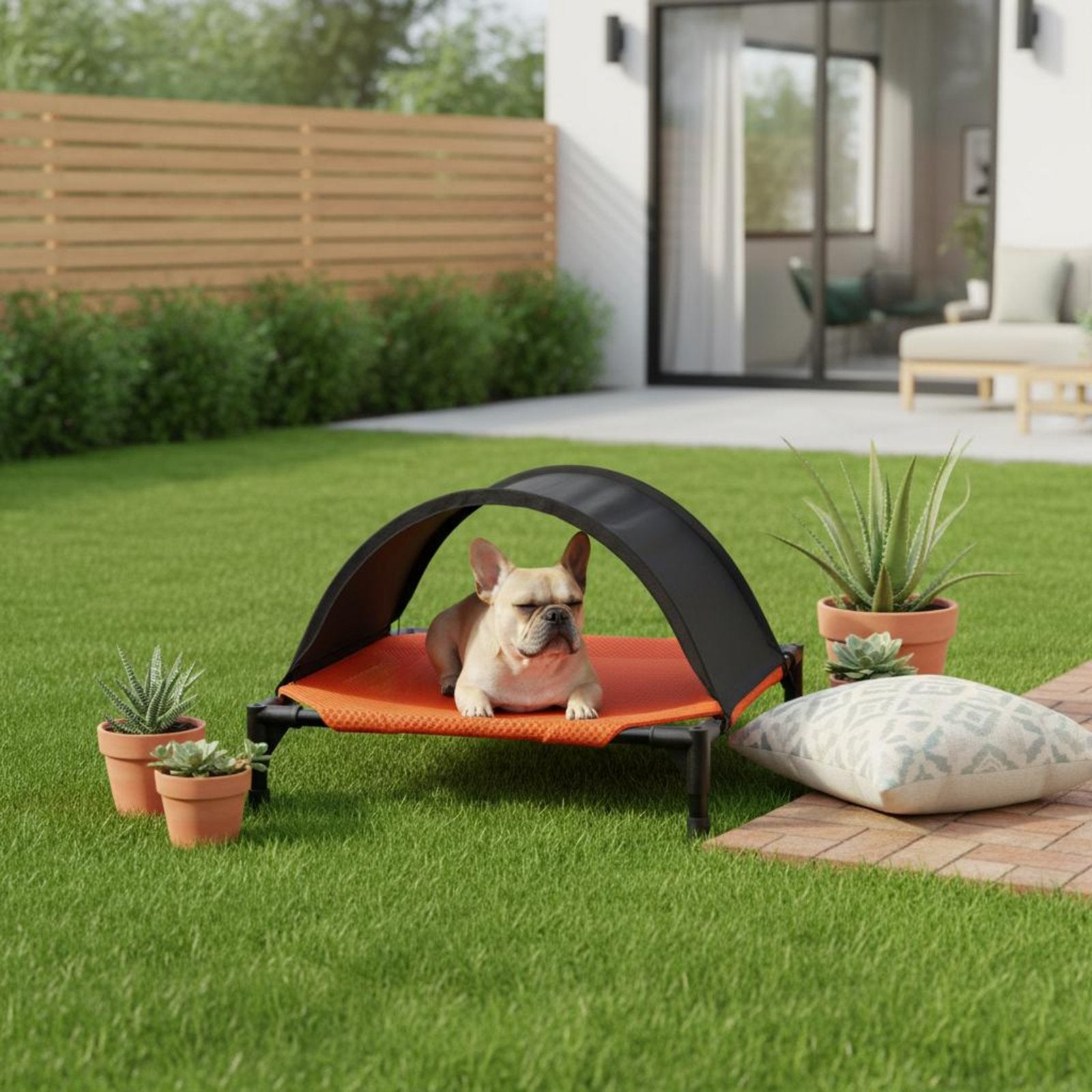 Elevated Dog Bed Foldable Raised Pet Cot Weather Resistant for Camping, Travel