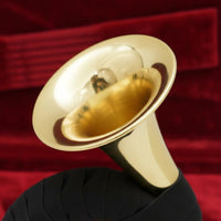 B Flat Brass Instrument Includes Stand French Brass Instrument Portable for Band