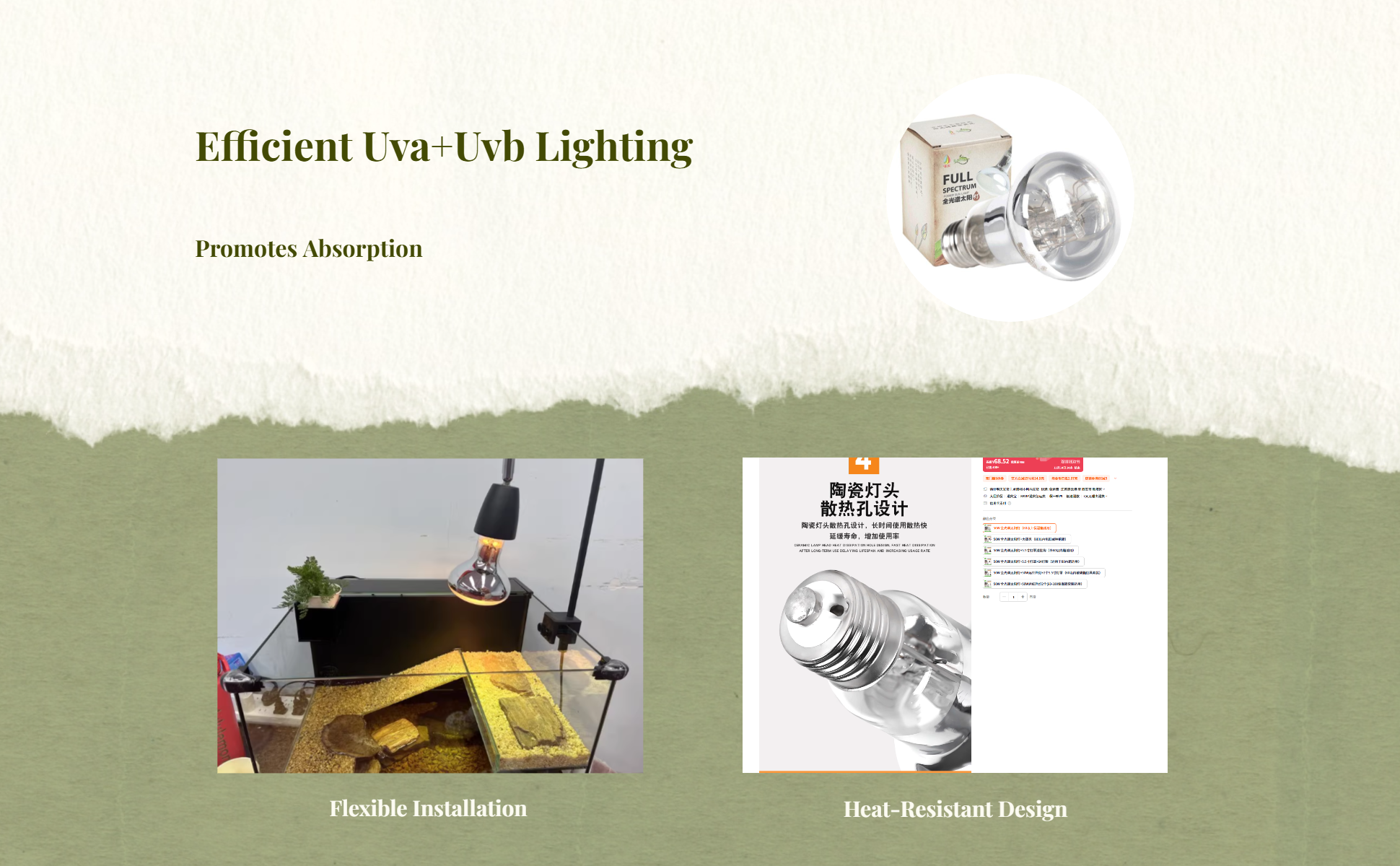 UVA/UVB lamp for reptiles; dome fit
