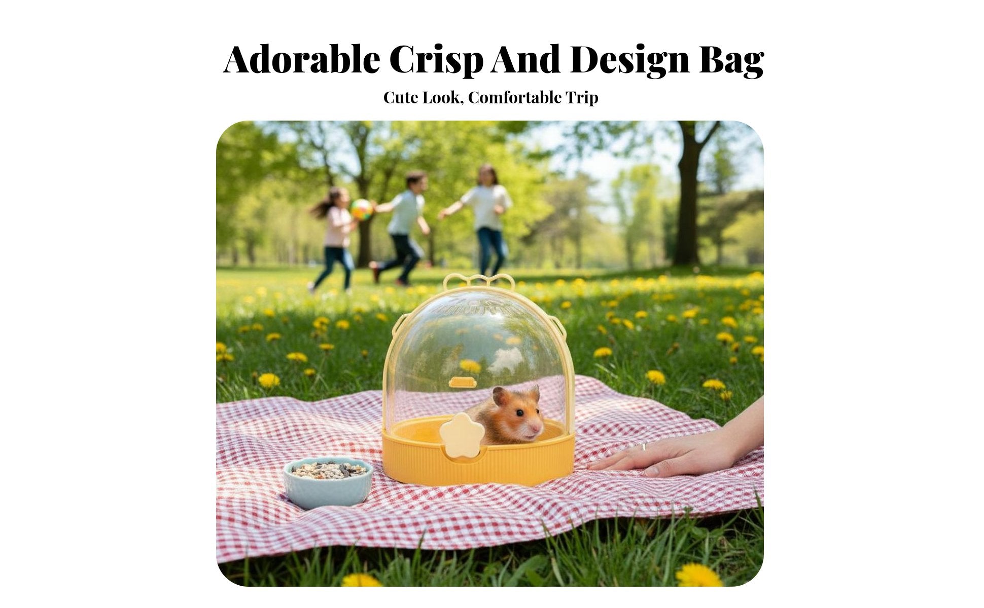 Transparent Hamster Travel carrier Portable Transparent Hamster Travel enclosure for Home