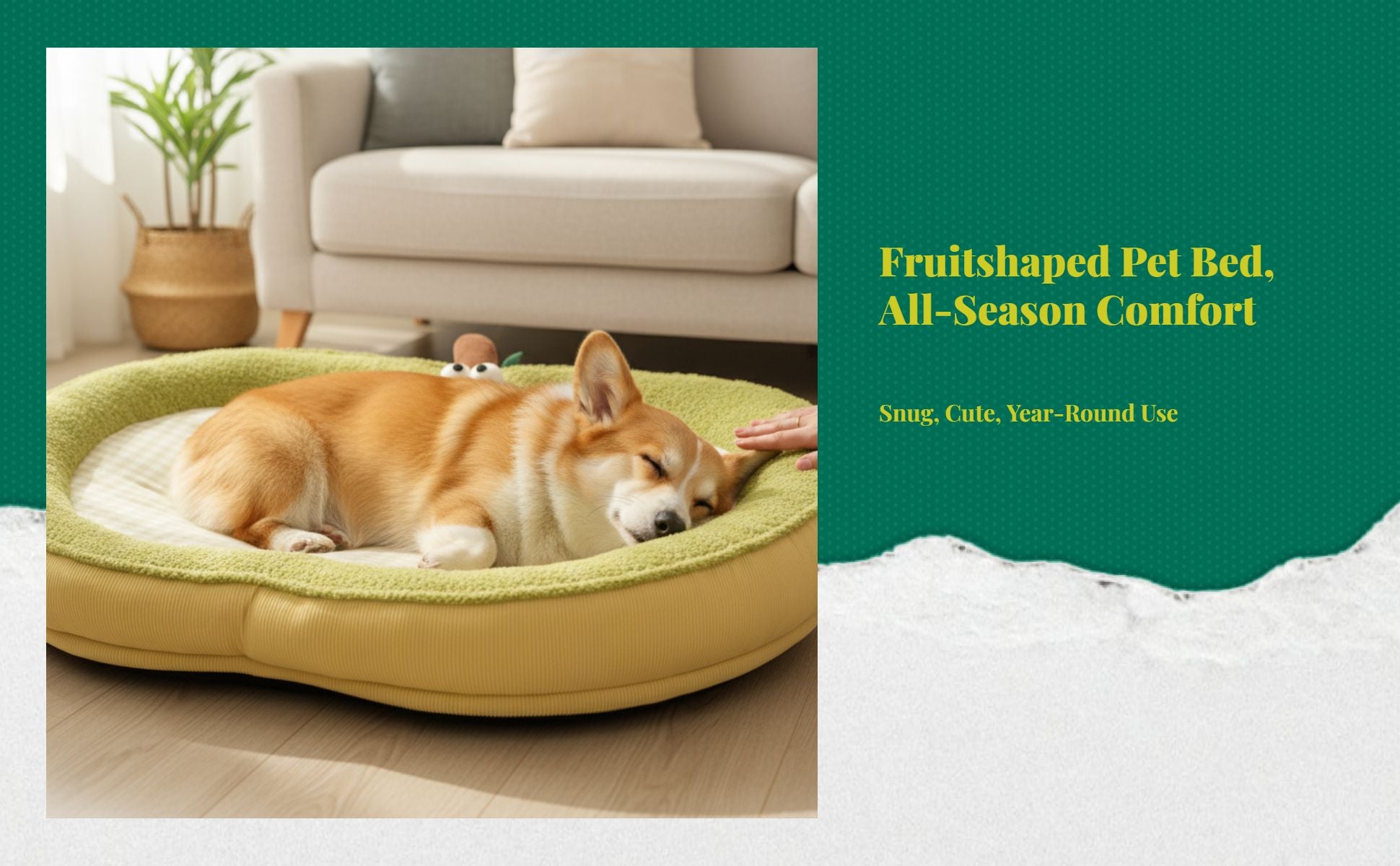 Removable cover pet bed
