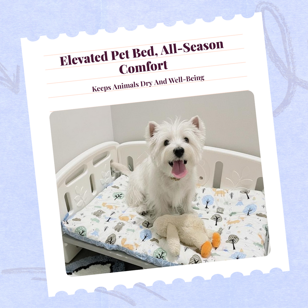 Washable mesh pet bed, non-slip base.