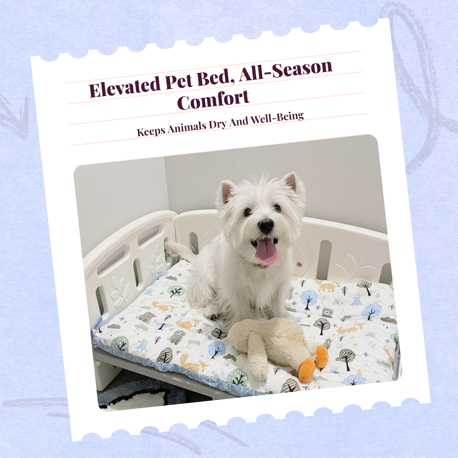 Washable mesh pet bed, non-slip base.
