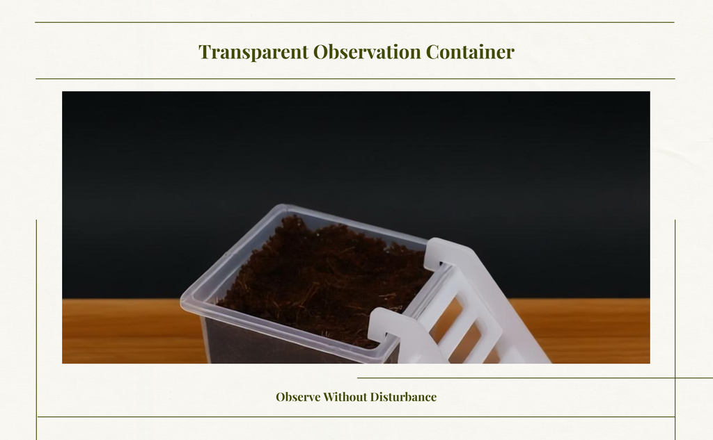 Hermit Crustacean Molting Isolation Habitat Setup Container
