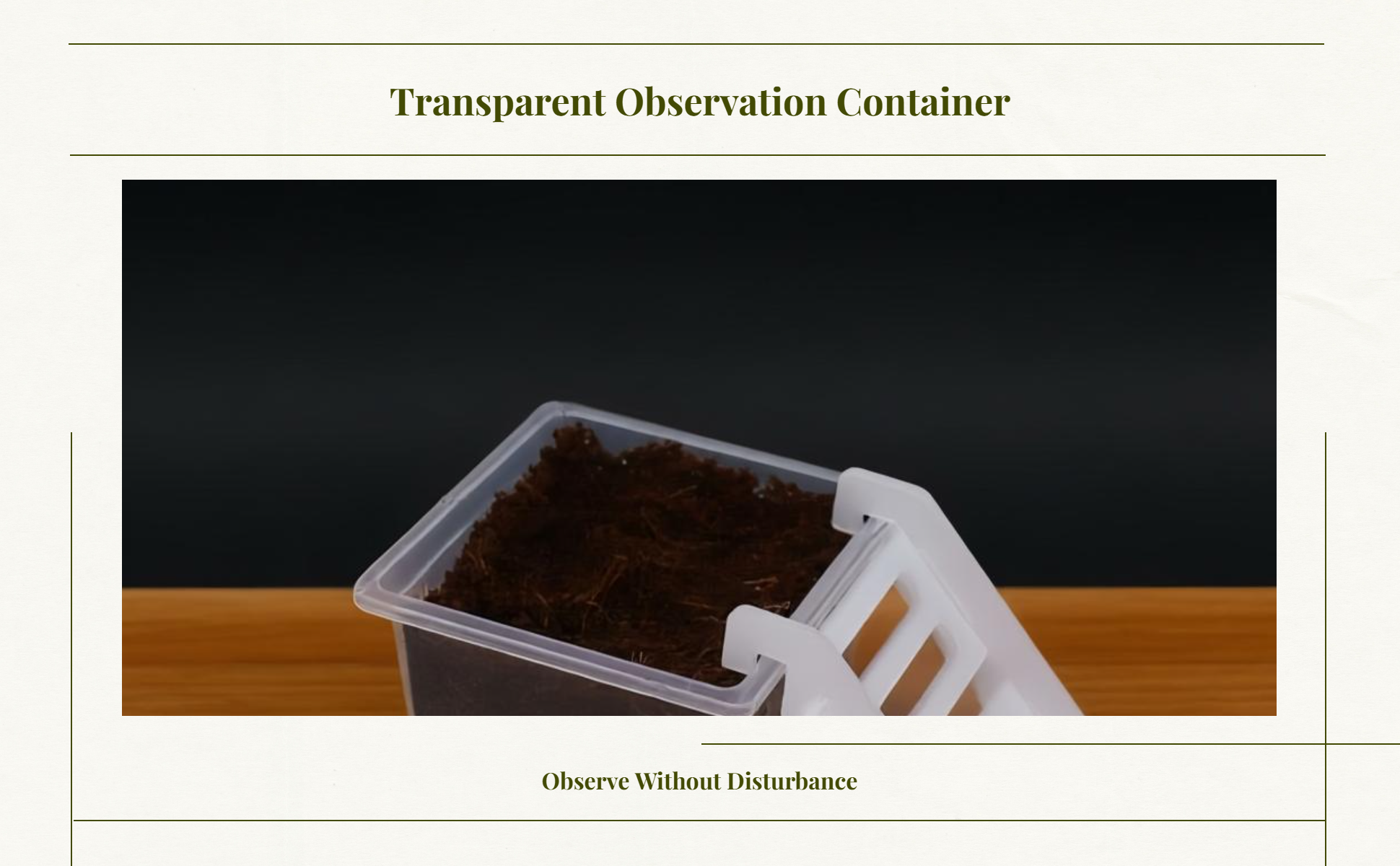 Hermit Crustacean Molting Isolation Habitat Setup Container