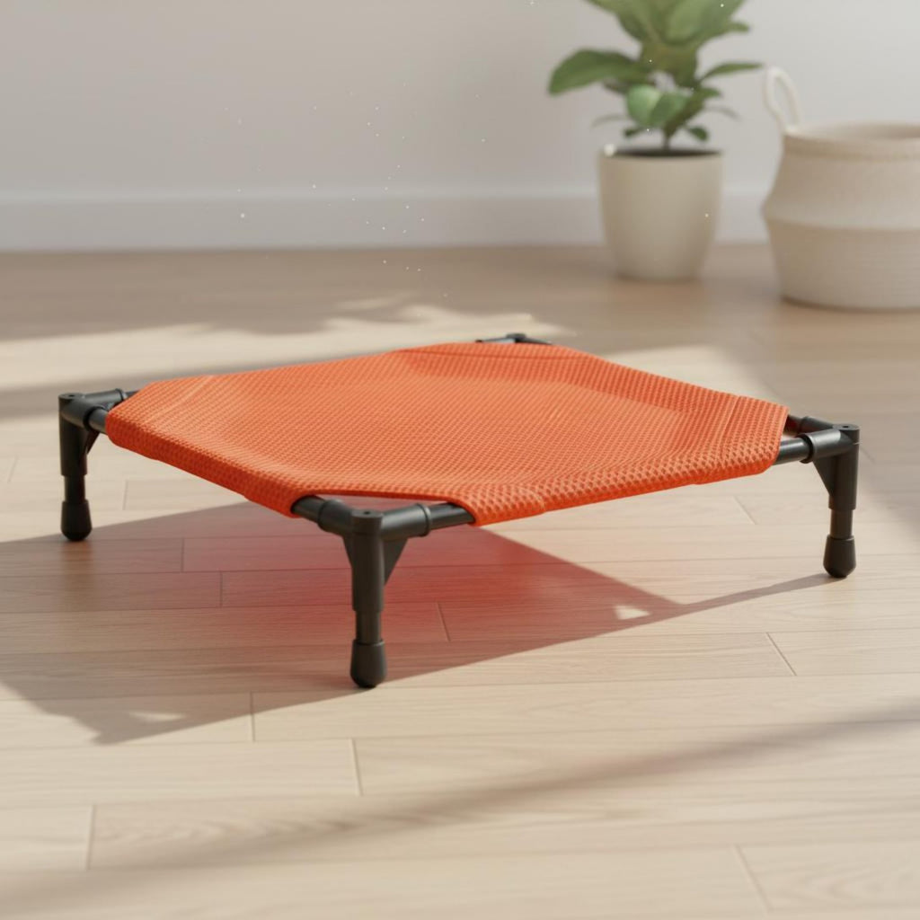 Elevated Dog Bed Foldable Raised Pet Cot Weather Resistant for Camping, Travel