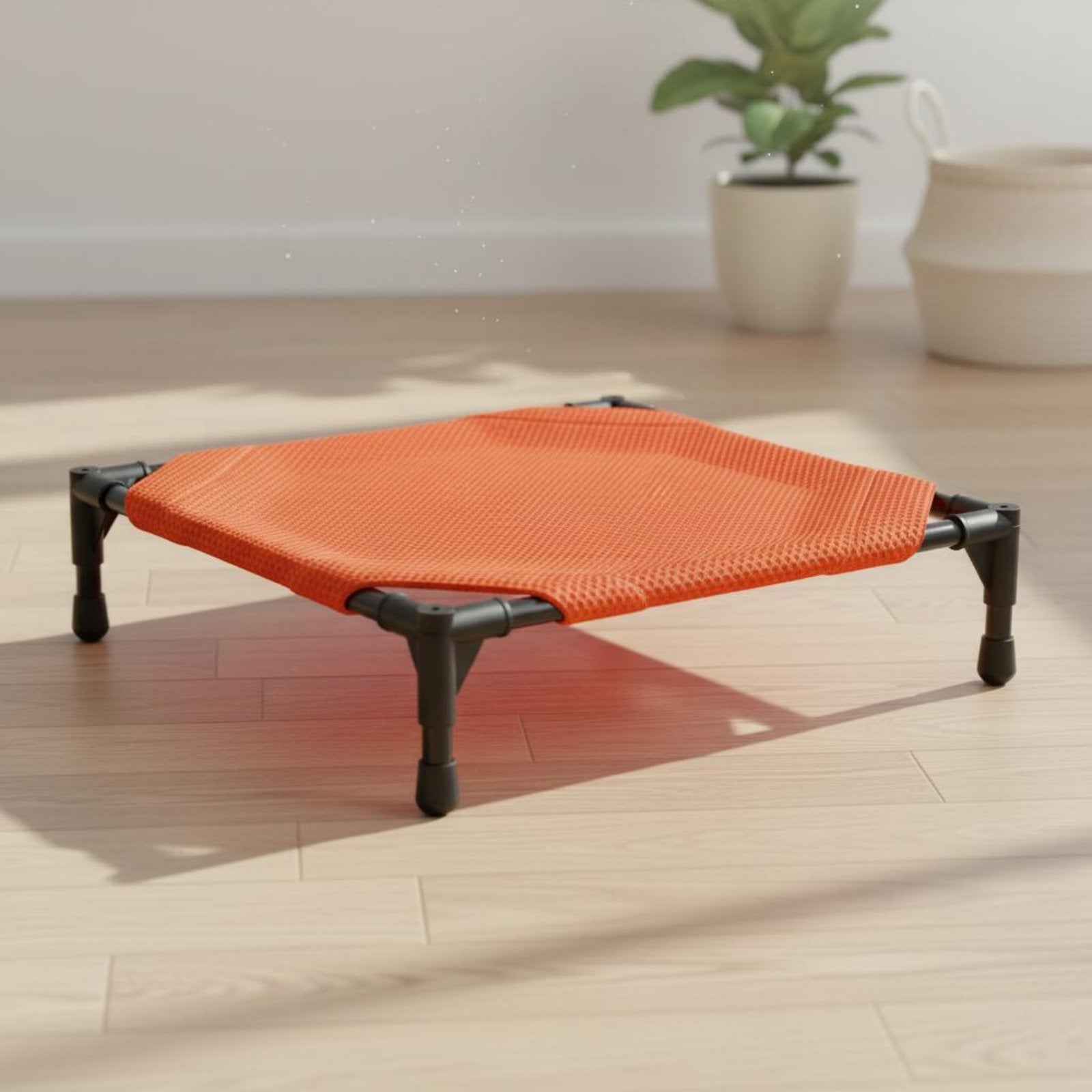 Elevated Dog Bed Foldable Raised Pet Cot Weather Resistant for Camping, Travel