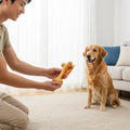 Beef Flavored Gnaw Bone Bite Resistant Dog Gnaw Bone Pet Supply Enrichment Toy for Training
