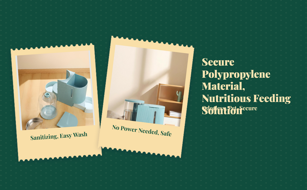 Automatic pet feeder with timer
