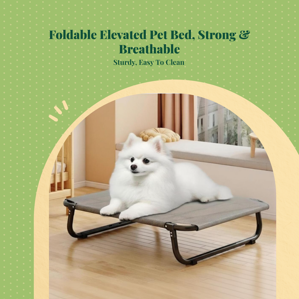 Elevated Dog Bed, Foldable Pet Cot, Removable Cover, Cooling