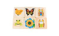 Creature Growth Brain Teaser Cartoon Design Developmental Creature Brain Teaser