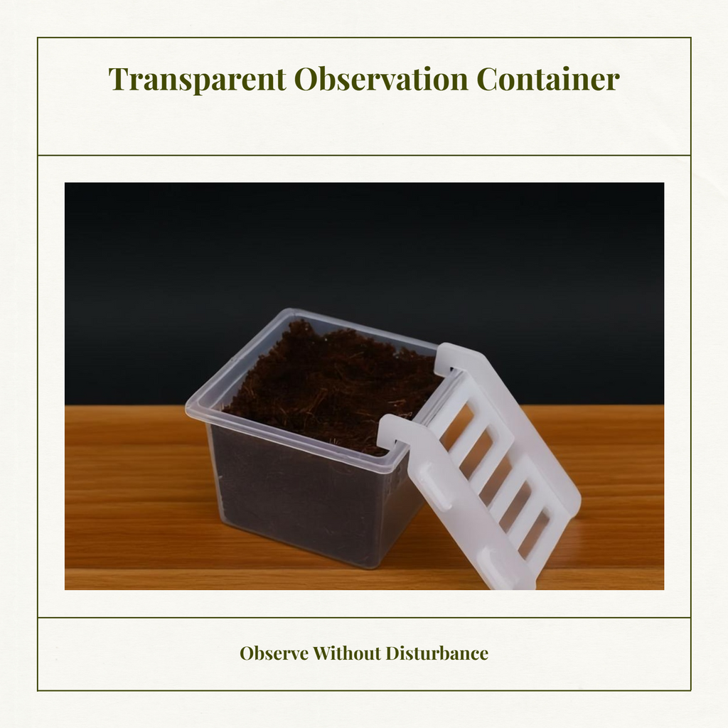 Hermit Crustacean Molting Isolation Habitat Setup Container