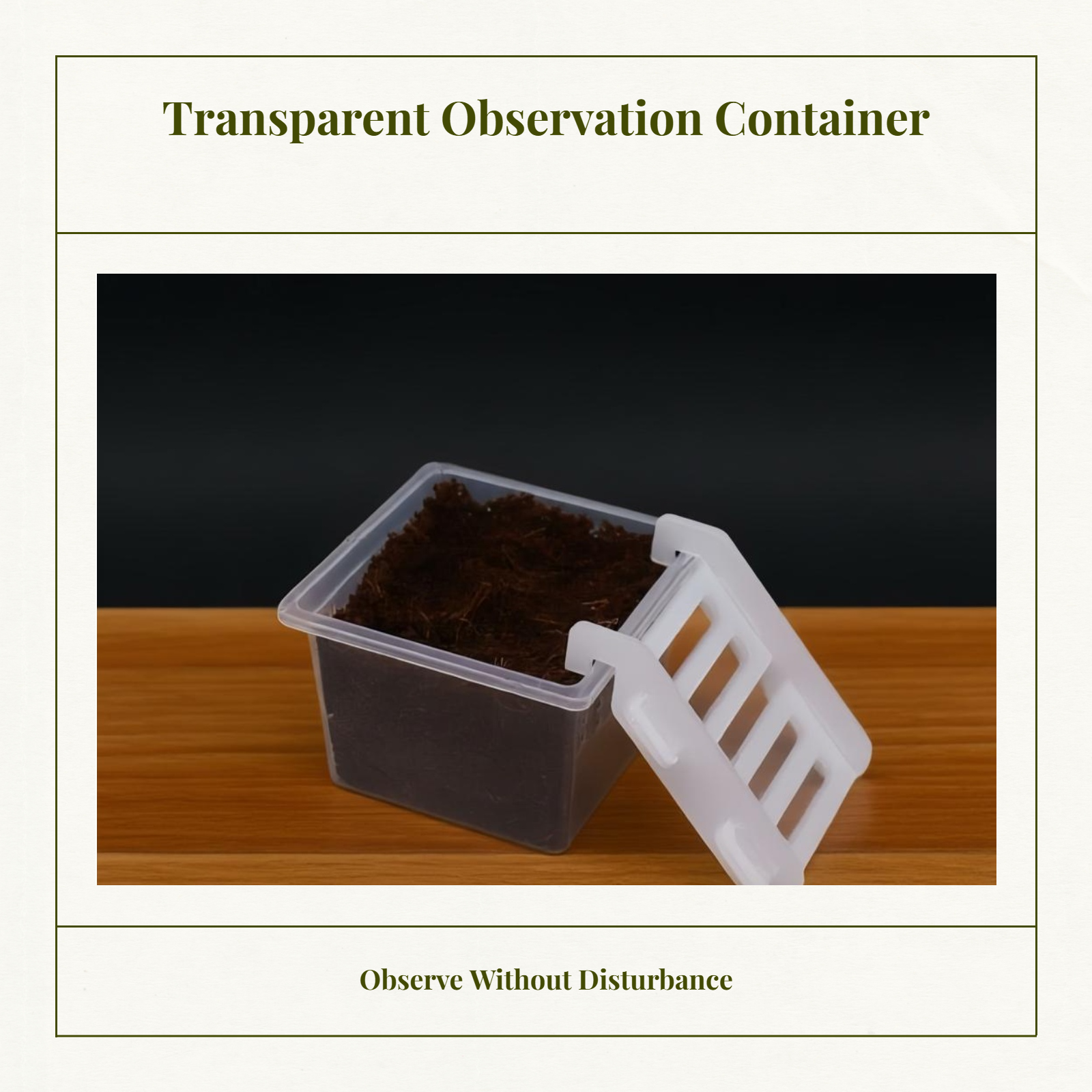 Hermit Crustacean Molting Isolation Habitat Setup Container