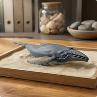 Baleen Marine Mammal Model Educational Baleen Marine Mammal Figure Detailed Life Model for Desk Display