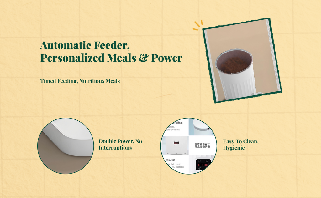 App-controlled timed cat feeder