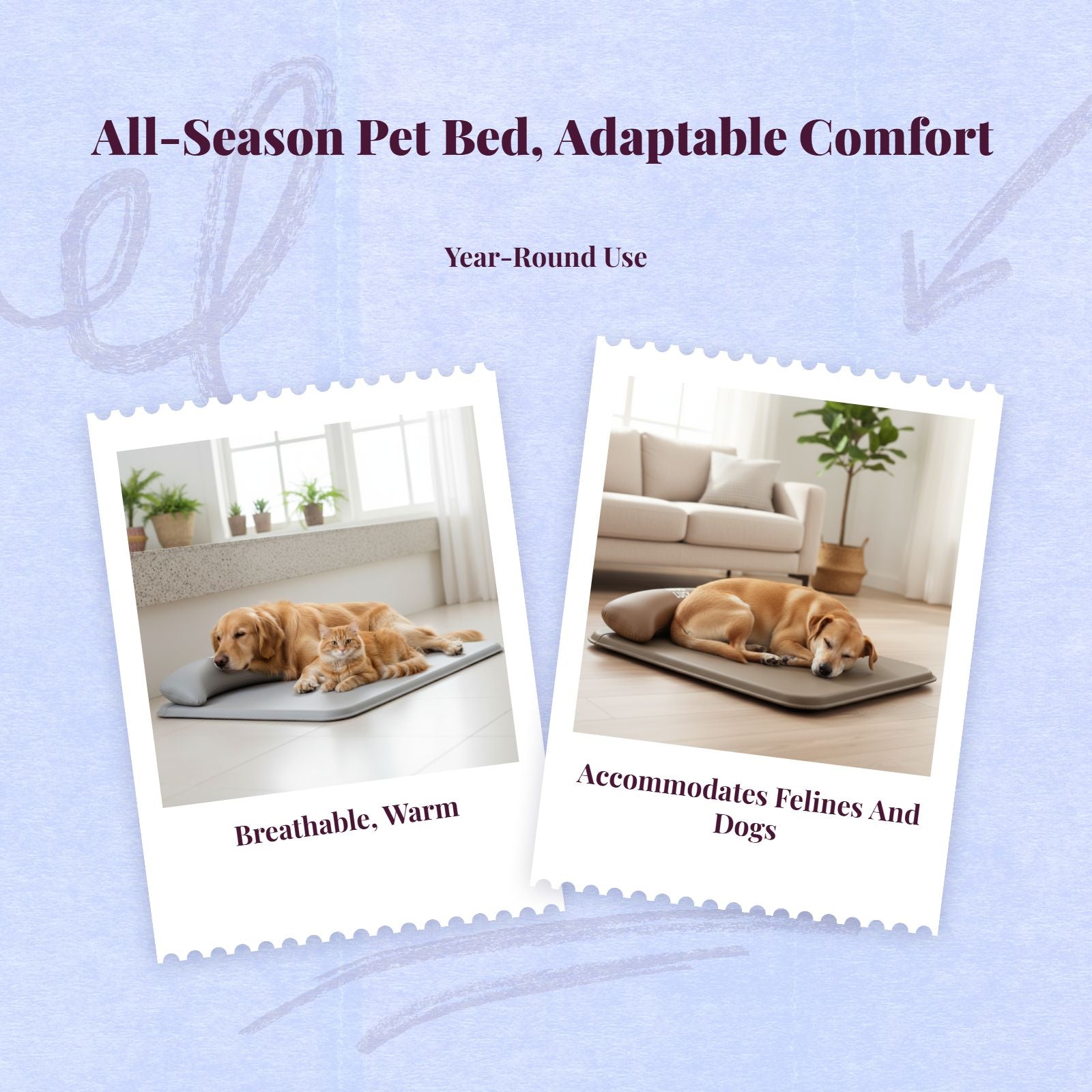 Dog Bed, Waterproof Removable Cover, Non-Slip, Easy Care