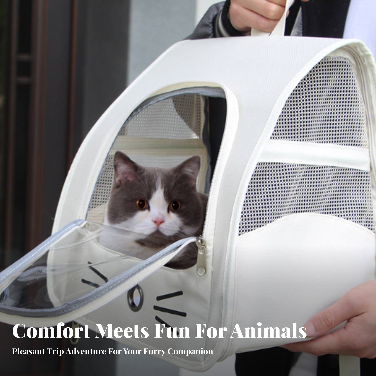 Space Capsule Pet carrierpack Breathable pet transporter Handshandshandsunrestricted for feline Owners