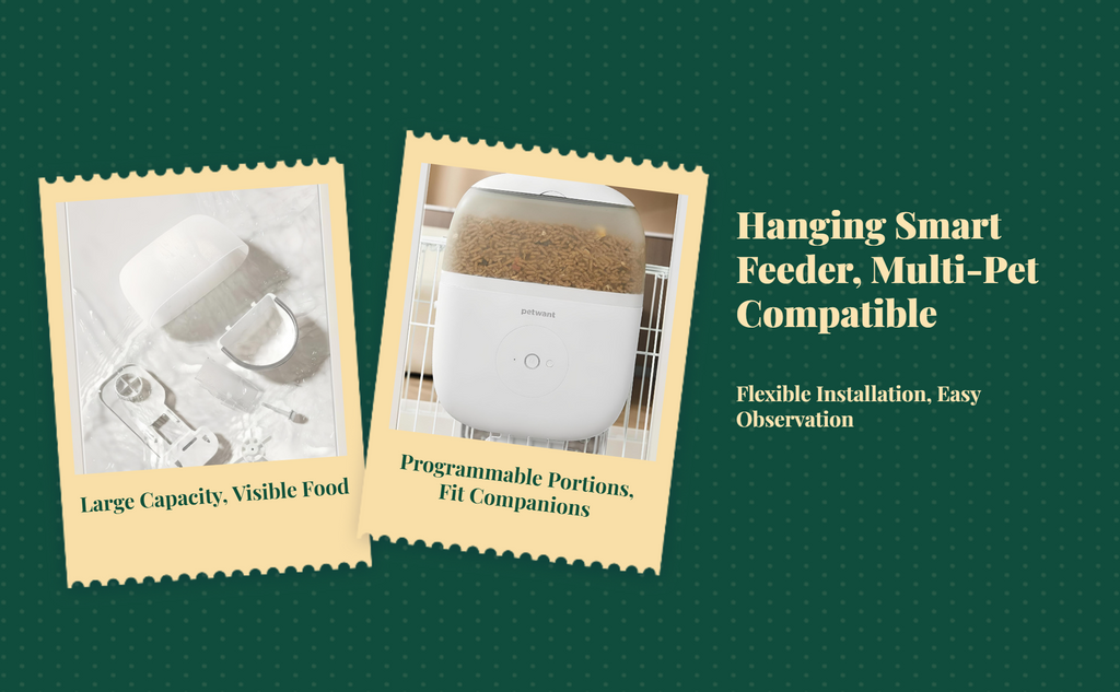 Automatic timed feeder for pets