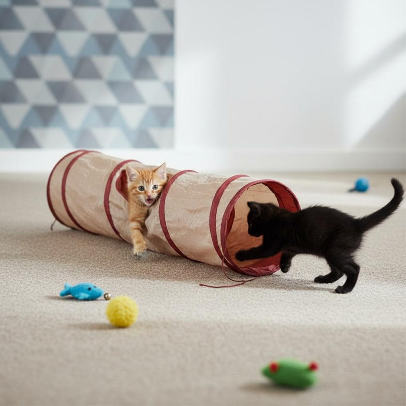 Feline Tunnel Keeps Pets Active Collapsible Feline Tunnel Easy To Stow for Cats
