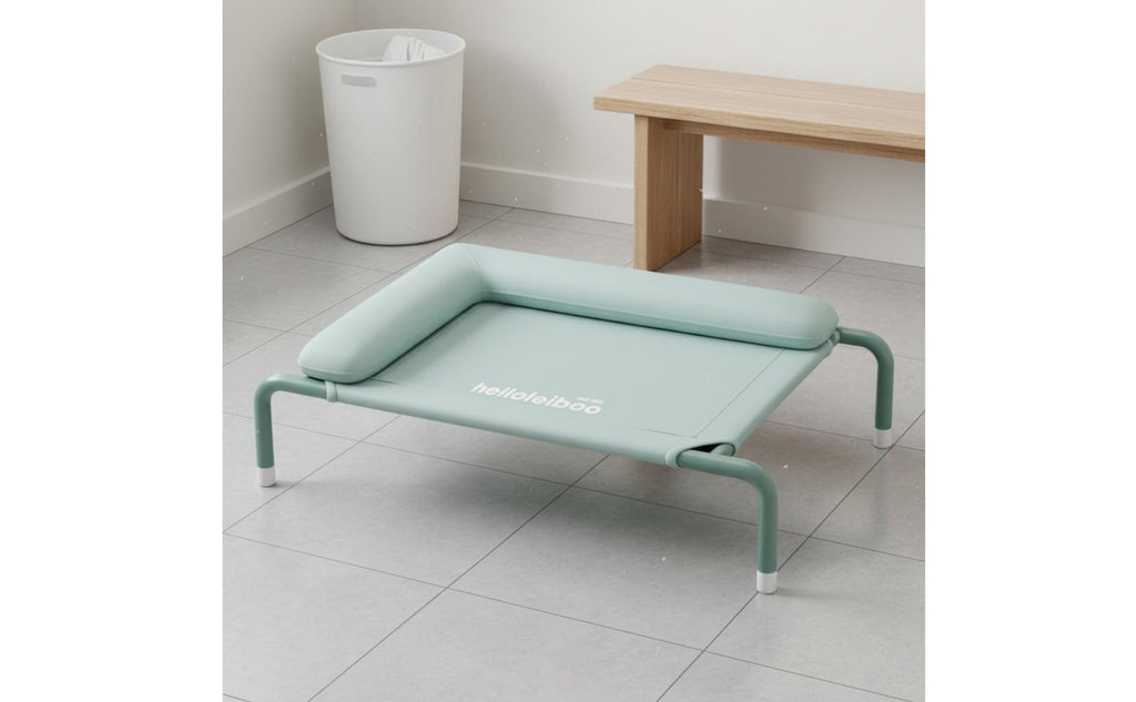 Removable Washable Elevated Dog Bed Easy to Clean Portable Pet Cot Bed Breathable Strong Load Bearing for Indoor