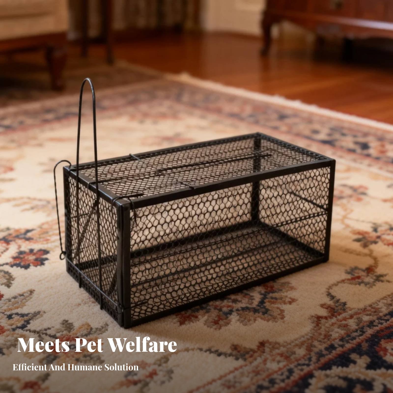 Folding feline enclosure Sensitive actuator wildlife containment unit firmly fastenedresistant fastening mechanism for Garden