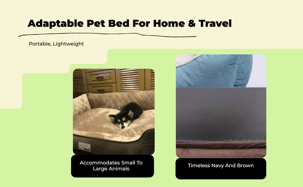 Orthopedic dog bed with comfort