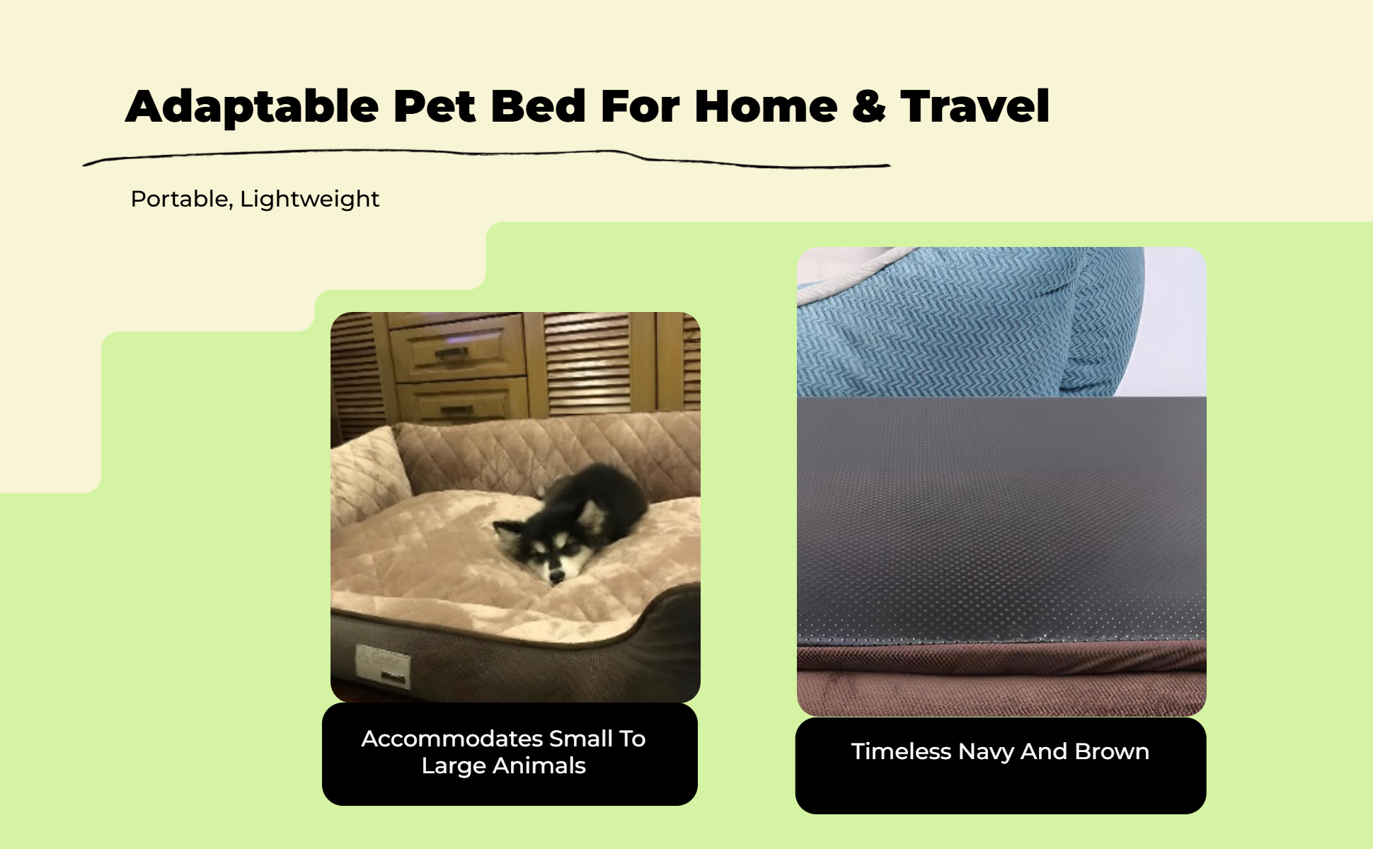 Orthopedic dog bed with comfort