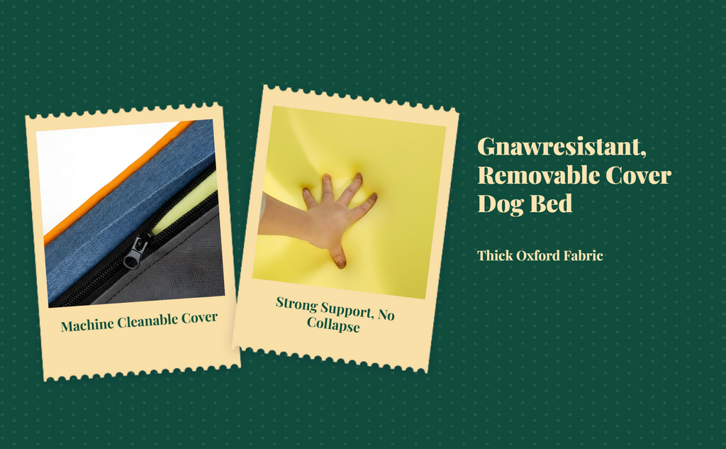 Chew-resistant waterproof dog bed