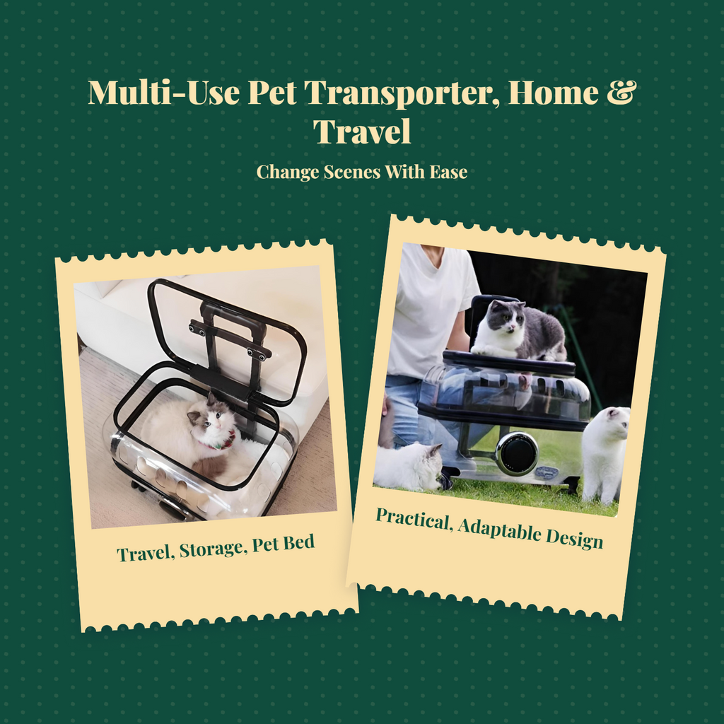 Expandable foldable pet carrier