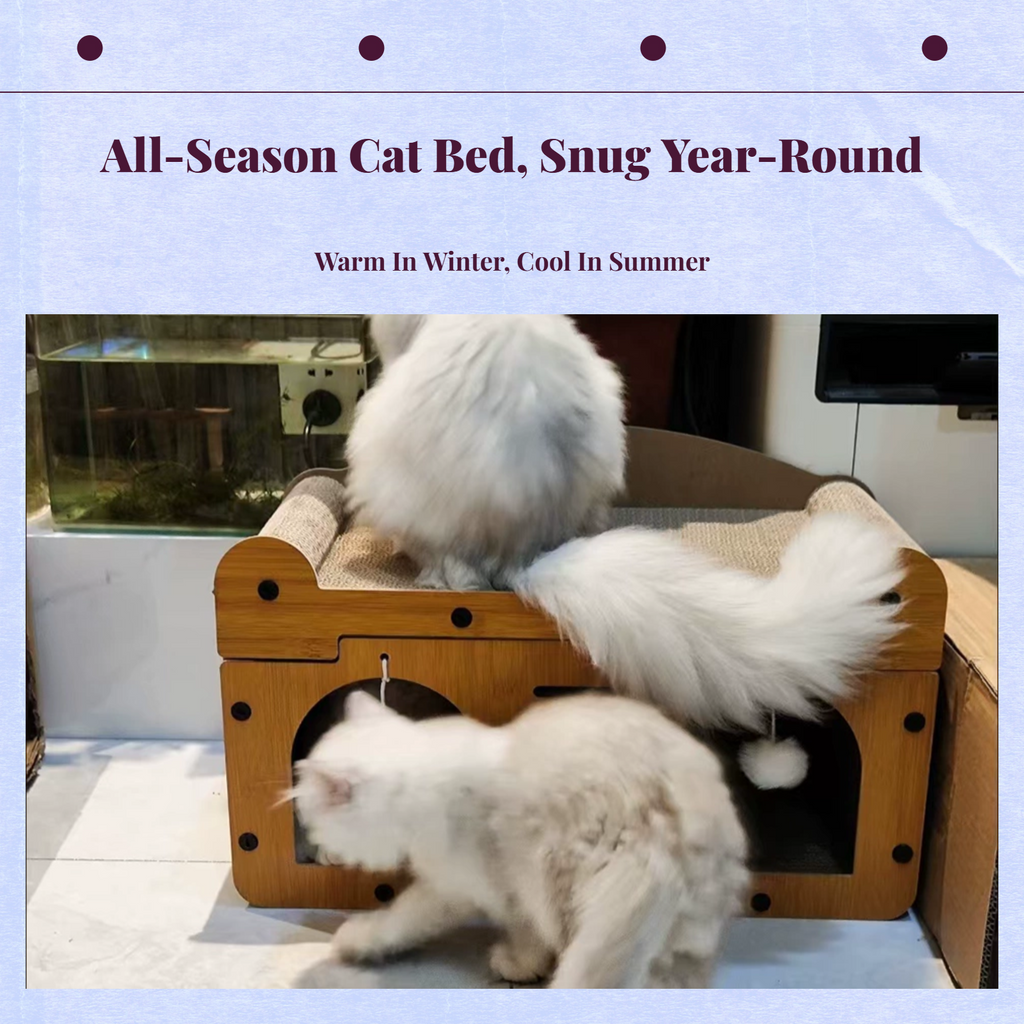 Cat Scratcher House, Upright Cat Bed, Climbing Mat in One