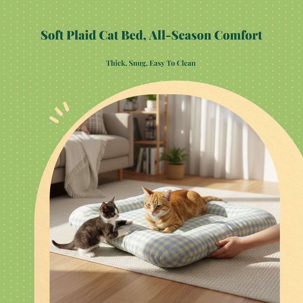Ultra-soft washable self-warming cat bed for indoor kittens