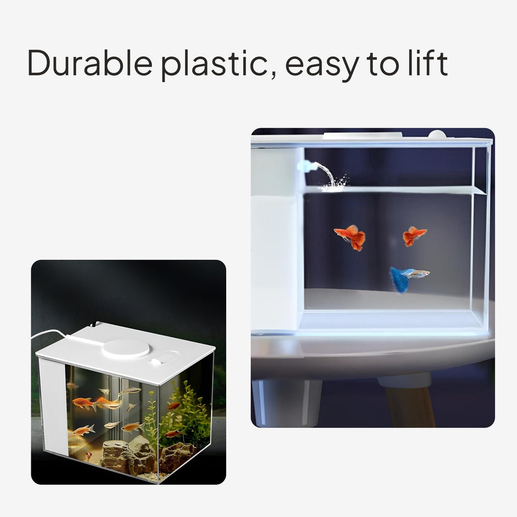Mini Desktop Betta Fish Tank with Side Purifier, Quiet LED