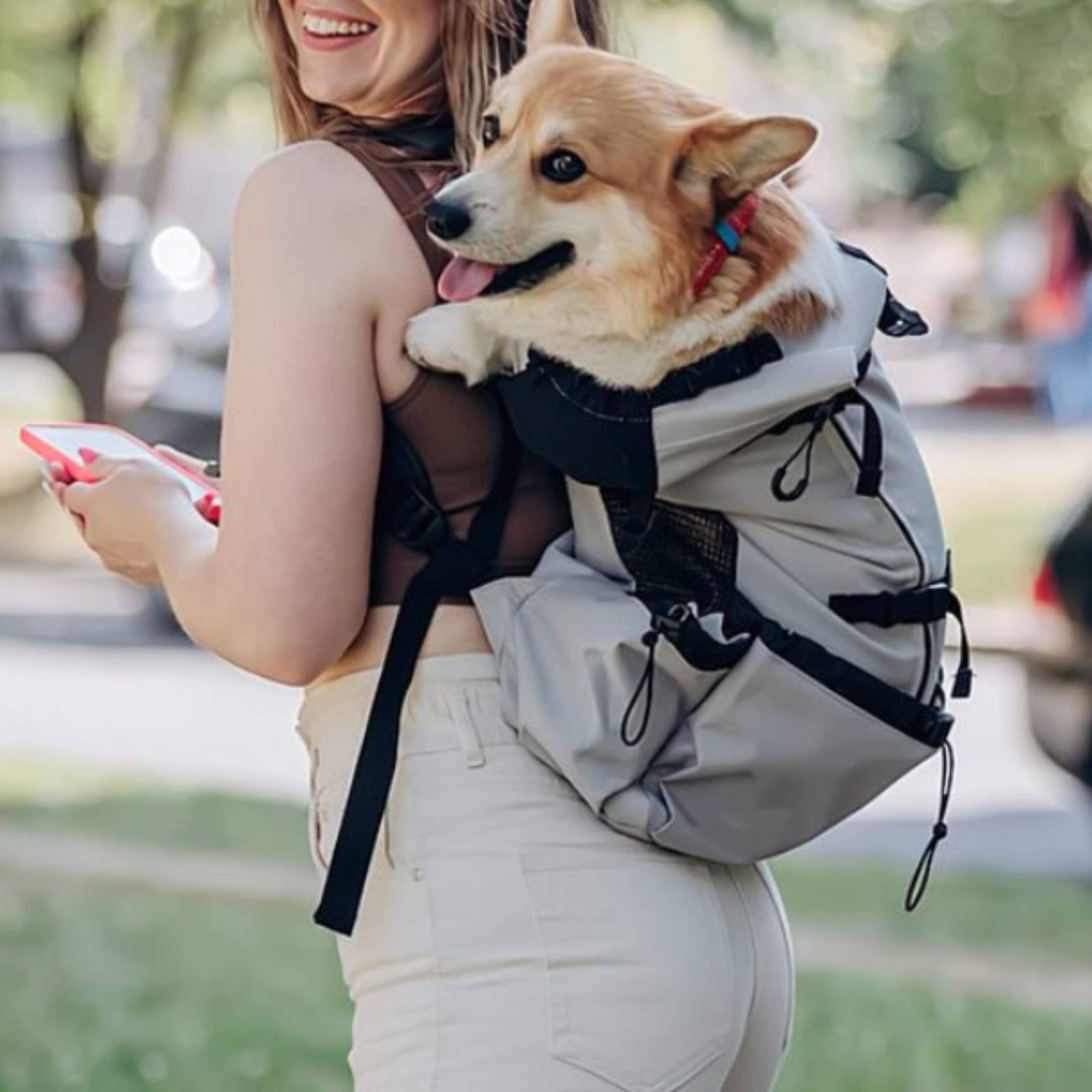 Dog Chest Carrier Portable Dog Travel Backpack Handsunrestrained for Outdoor