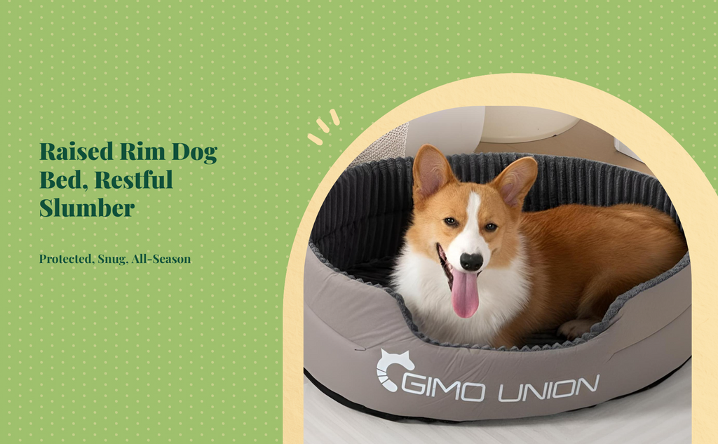Orthopedic washable dog bed