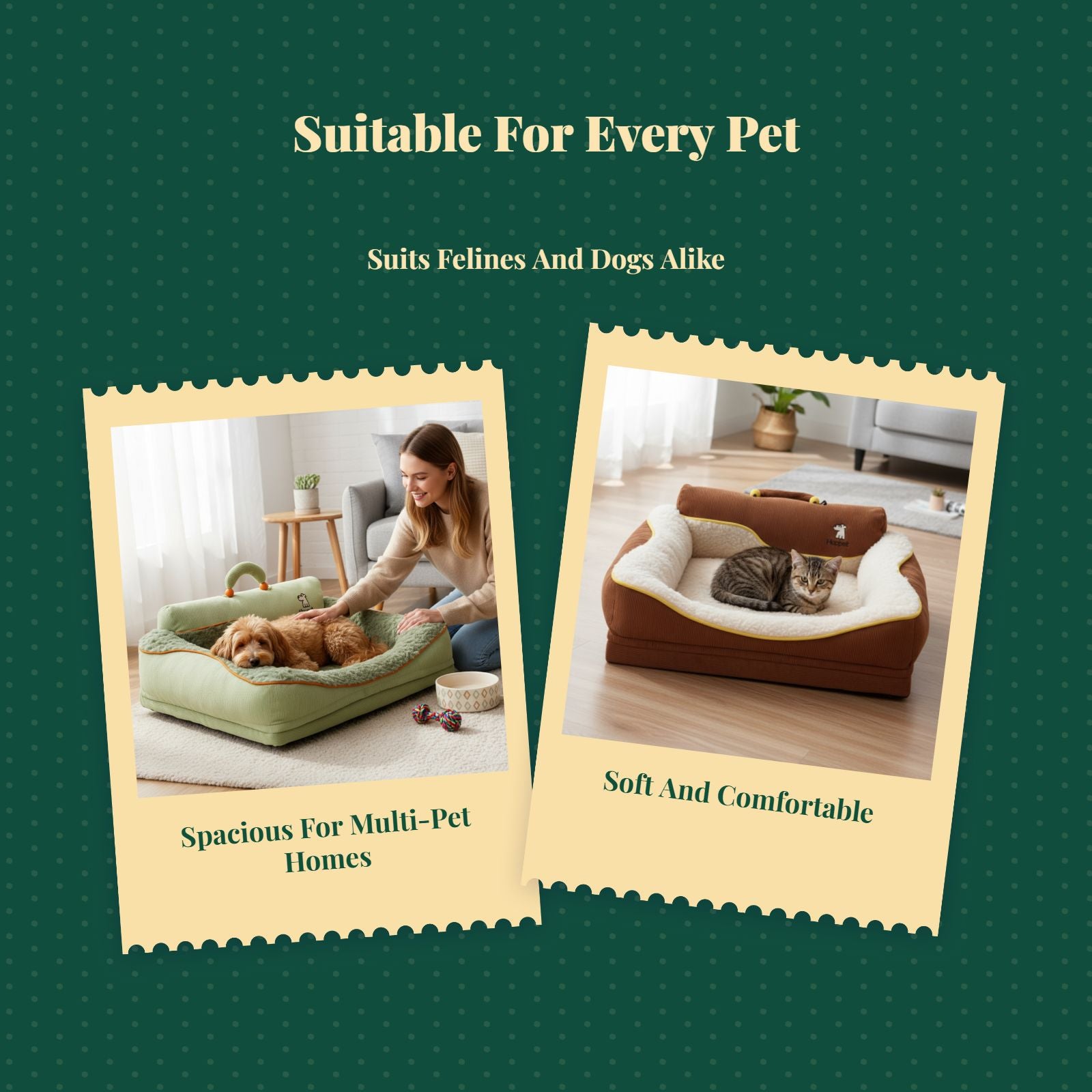 Washable pet bed with winter mat.