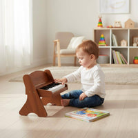 25 Key Toy Piano Birthday Gift Wooden Mini Piano for Beginners, Toddlers
