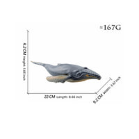 Baleen Marine Mammal Model Educational Baleen Marine Mammal Figure Detailed Life Model for Desk Display