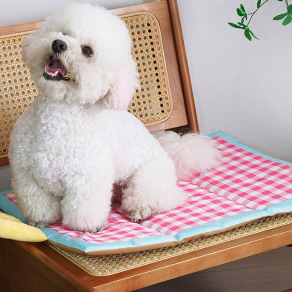 Dog Sleep Mat Removable Cover Pet Bedding Leak-Proof for Sofa, Small Dogs