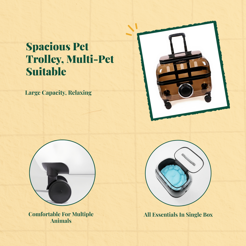 Expandable foldable pet carrier