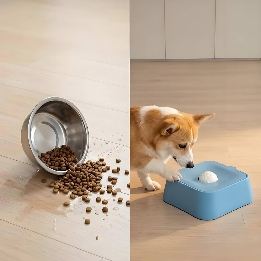 Slow Feeder Bowl Easy to Hygienic Pet Feeding Dishwasher Safe
