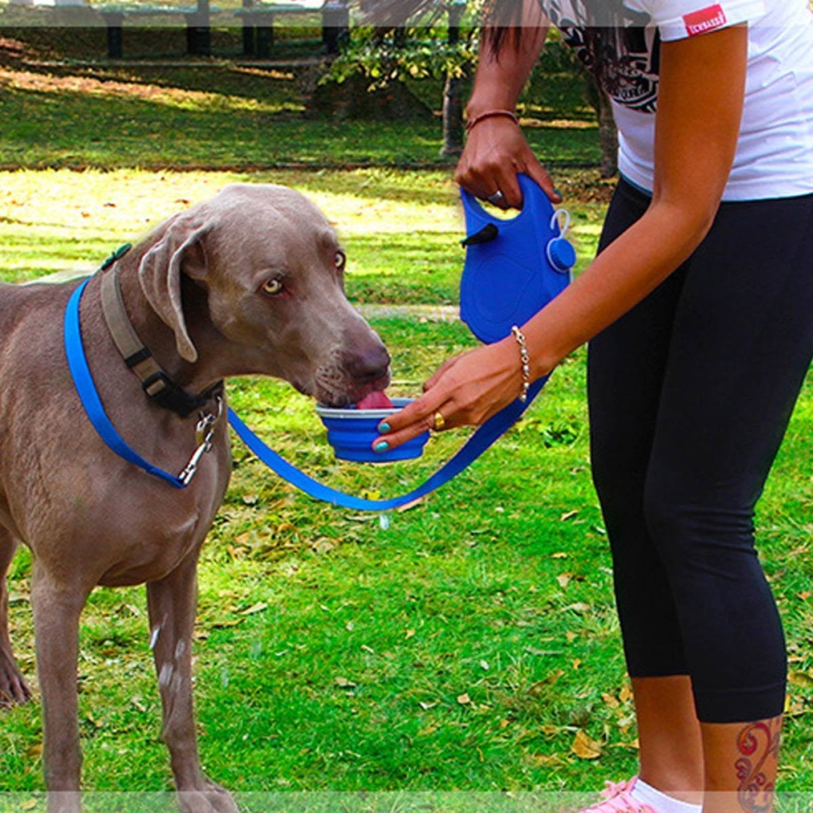 Dog Bottle Leash Combo Lightweight Dog Walking Kit Gear Resistant Pet Accessory for Outdoor