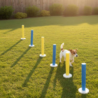 Dog Agility Training Set Blue and Yellow Pet Sports Round Bases