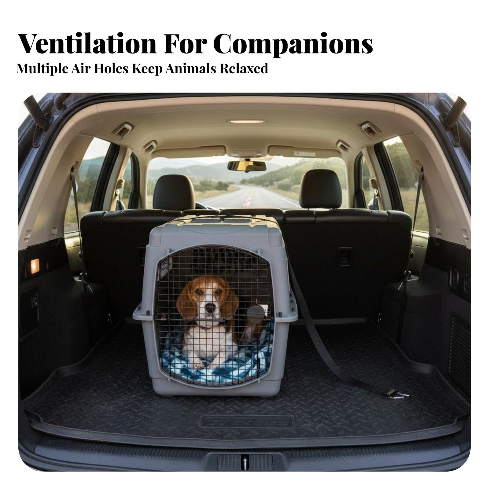 Airline-Approved Design Hard-Sided Travel Crate Portable Hard-Sided Pet transport robustDuty Construction Dog Kennel safety latch for Travelers with companion animals, Cat Owners, Car journeys, veterinarian Visits, Outdoor Excursions