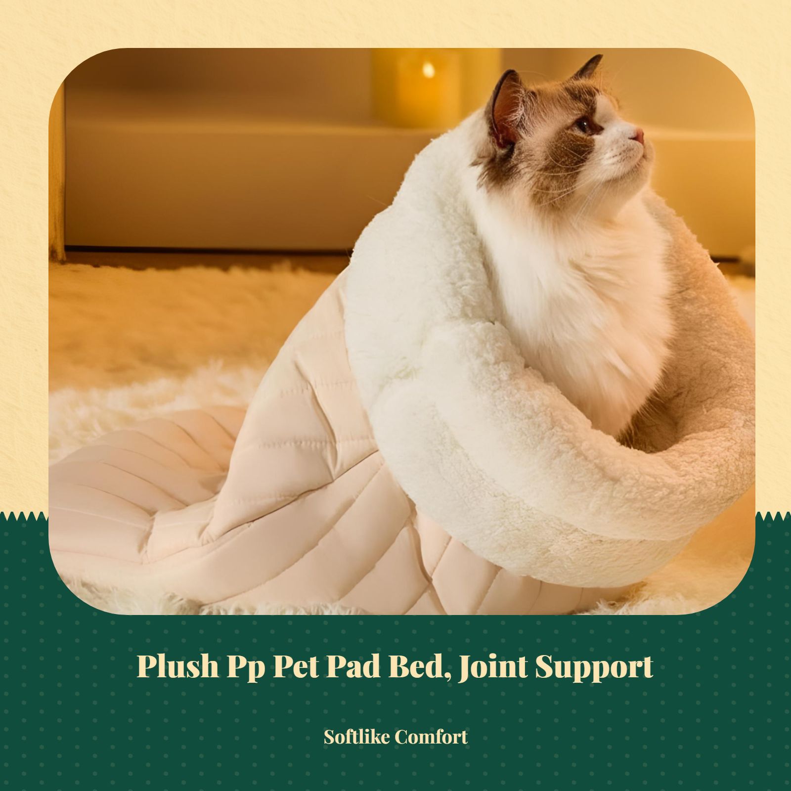 Washable cat bed