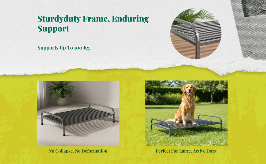 Cooling dog bed with removable cover