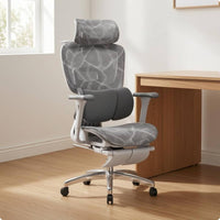 Ergonomic Mesh Office Chair Polished Metal Highspine Mesh Chair Sturdy-Duty