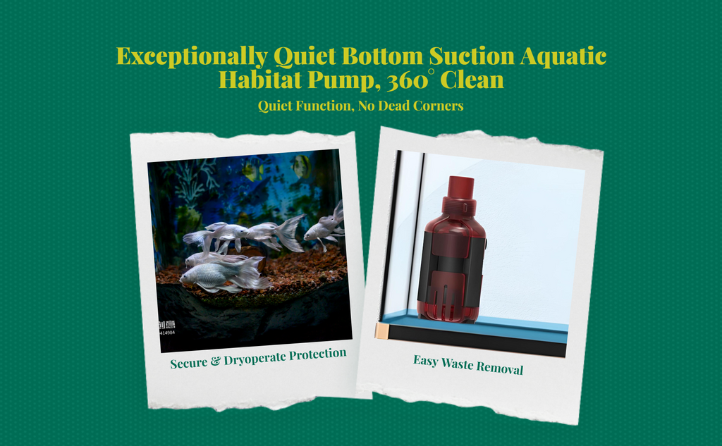 Immersible water circulator, extremely quiet aquatic habitat strainer, dry burning protection, circulation filtration, fish reservoir, water feature, hydroponics
