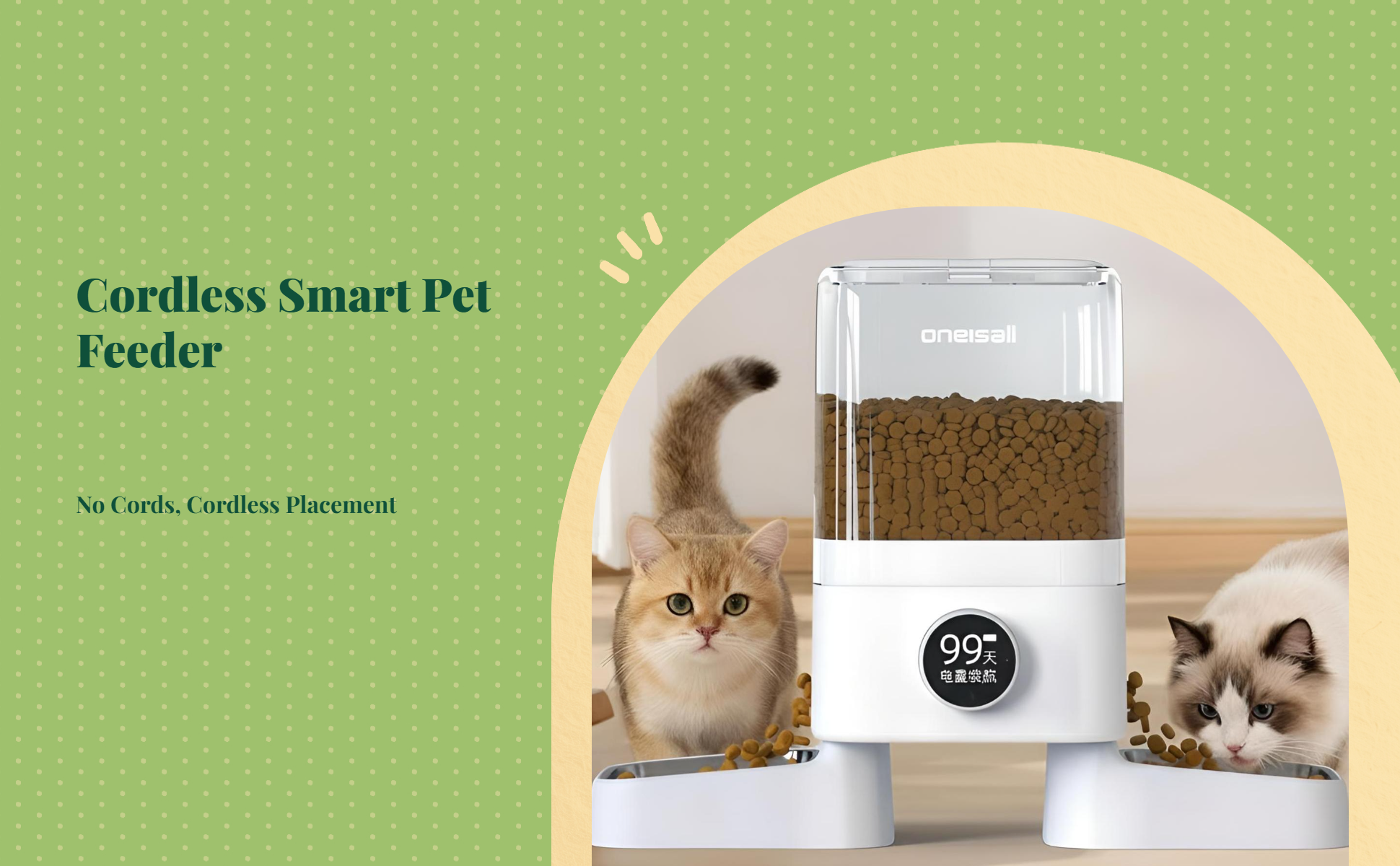 App-controlled automatic feeder