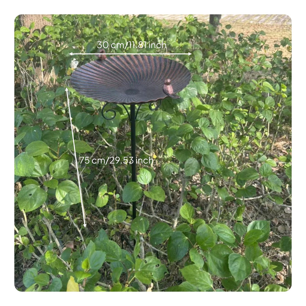Freestanding Bird Bath Weatherproof Outdoor Decor Heavy Duty for Yard, Gardeners